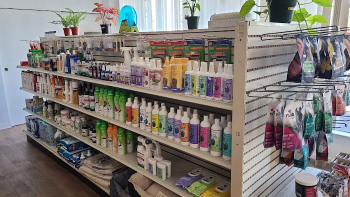 Chesty's Family Pets Picture 8