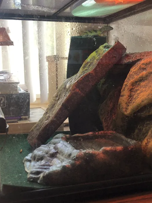 Chesty's Family Pets Picture 9