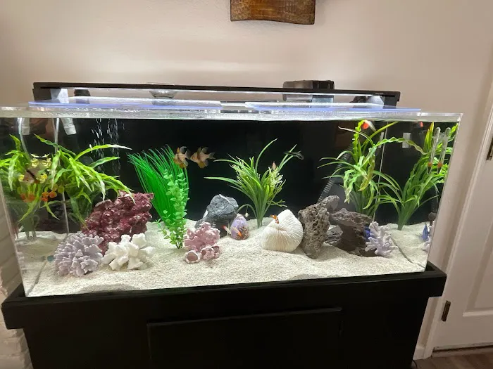 Chesty's Family Pets Picture 10