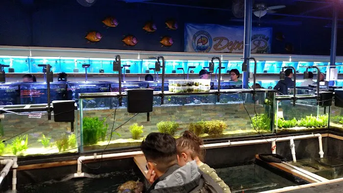 Aquarium & Reptile Depot Picture 4