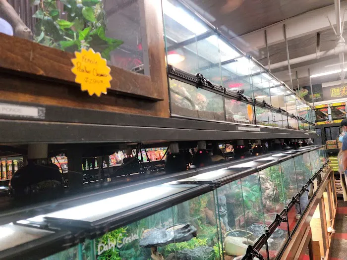 Aquarium & Reptile Depot Picture 6