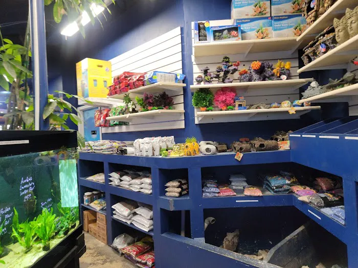 Aquarium & Reptile Depot Picture 7