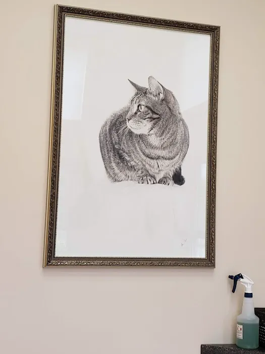 The Cat Doctor of Nashua Picture 10