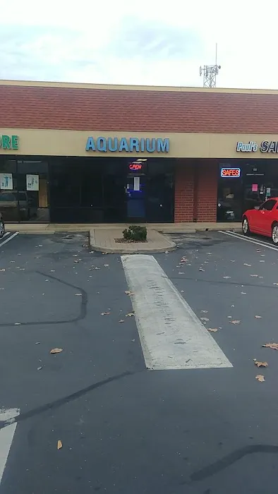 Your Reef Aquarium Picture 2