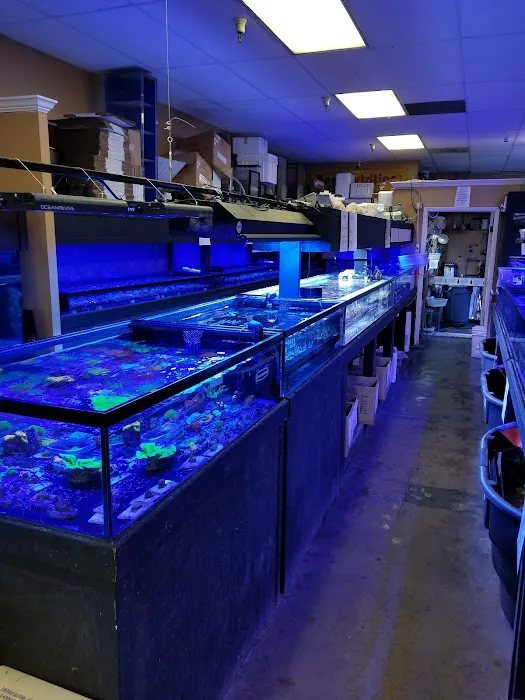 Your Reef Aquarium Picture 4