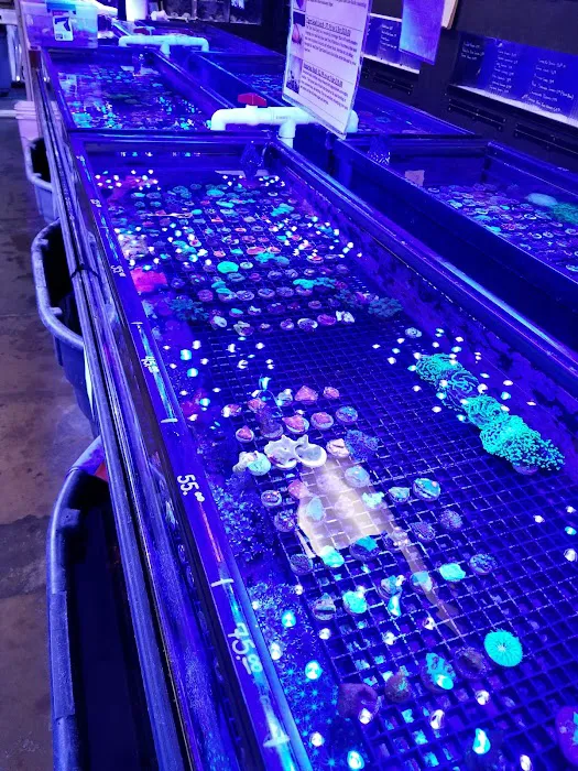 Your Reef Aquarium Picture 8