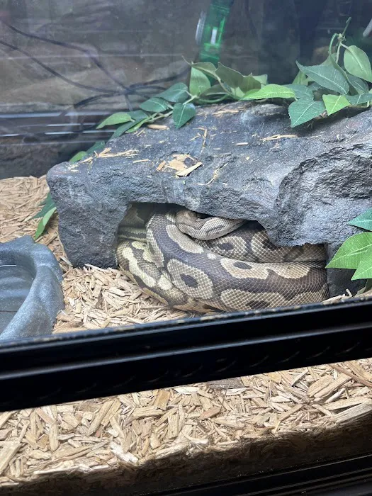 The Serpentarium Picture 3