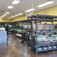 The Serpentarium ico