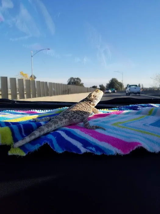 The Serpentarium Picture 5