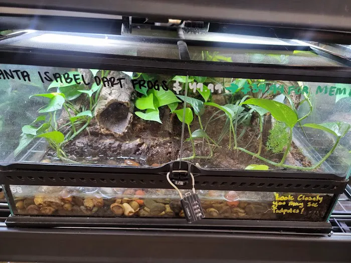 The Serpentarium Picture 8