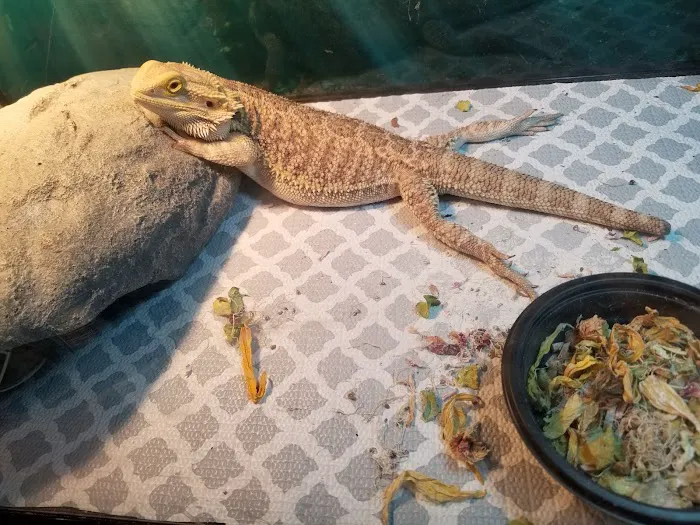 The Serpentarium Picture 7