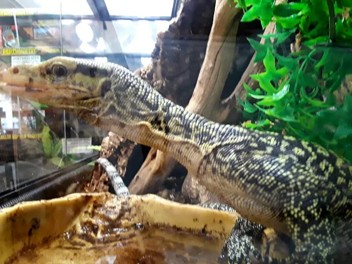 The Serpentarium Picture 10