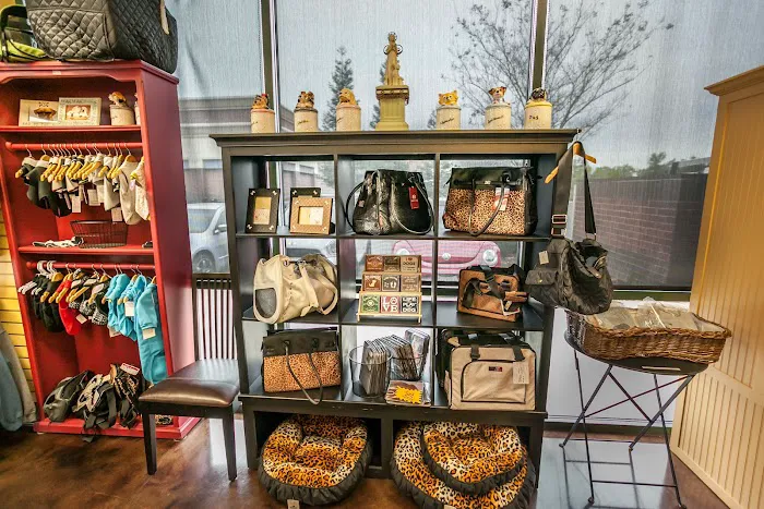 Doggie Bag Picture 6