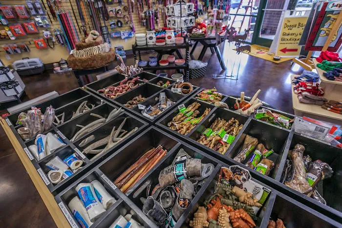 Doggie Bag Picture 8