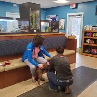 Weare Animal Hospital ico