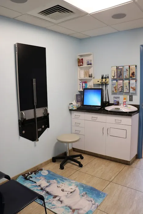 Weare Animal Hospital Picture 6