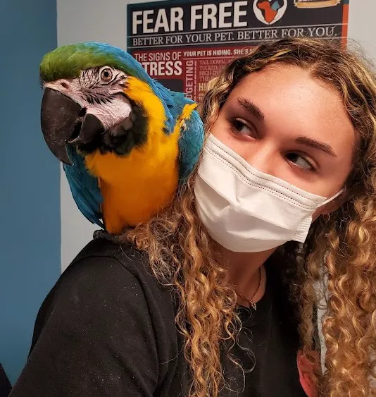 Weare Animal Hospital Picture 5