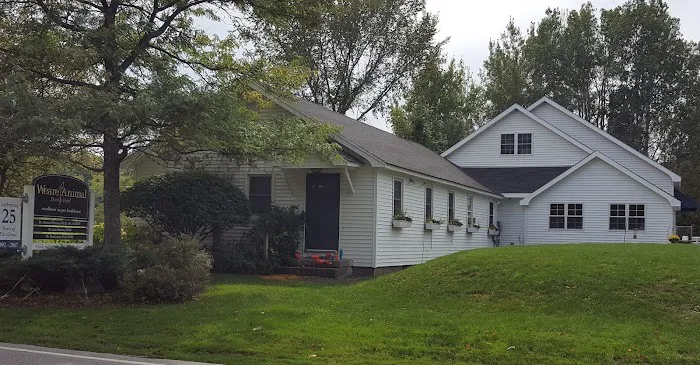 Weare Animal Hospital Picture 3