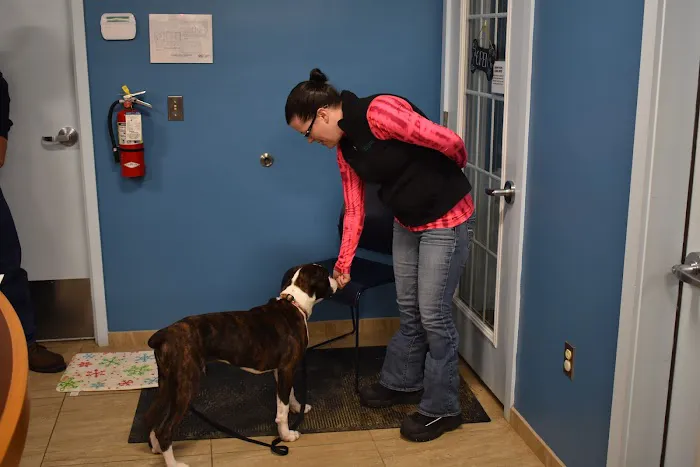 Weare Animal Hospital Picture 10