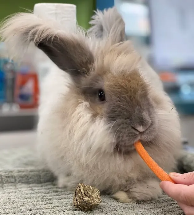 Weare Animal Hospital Picture 9