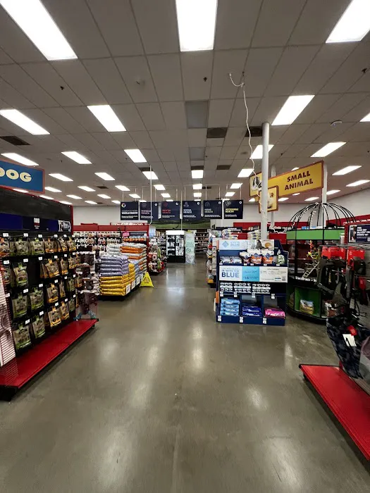 Petco Picture 2