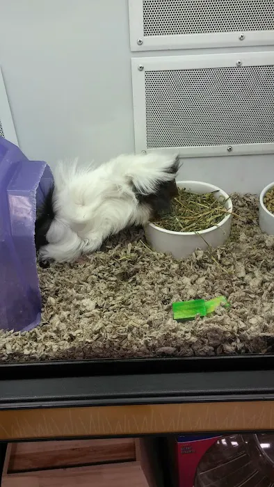Petco Picture 1
