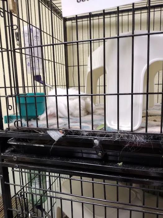 Petco Picture 4