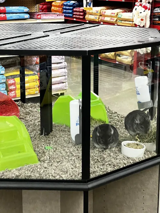 Petco Picture 6