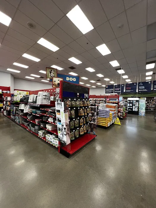 Petco Picture 5