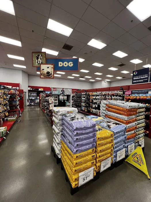 Petco Picture 9