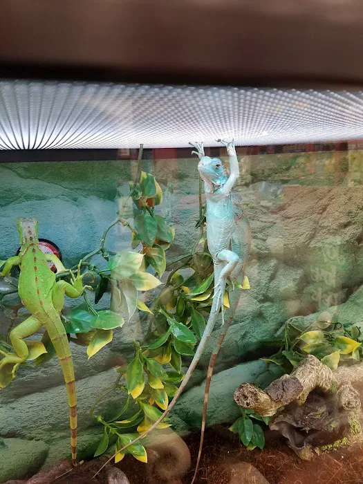 Petco Picture 7