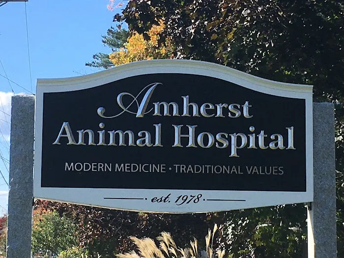 Amherst Animal Hospital Picture 3