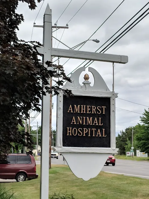 Amherst Animal Hospital Picture 7