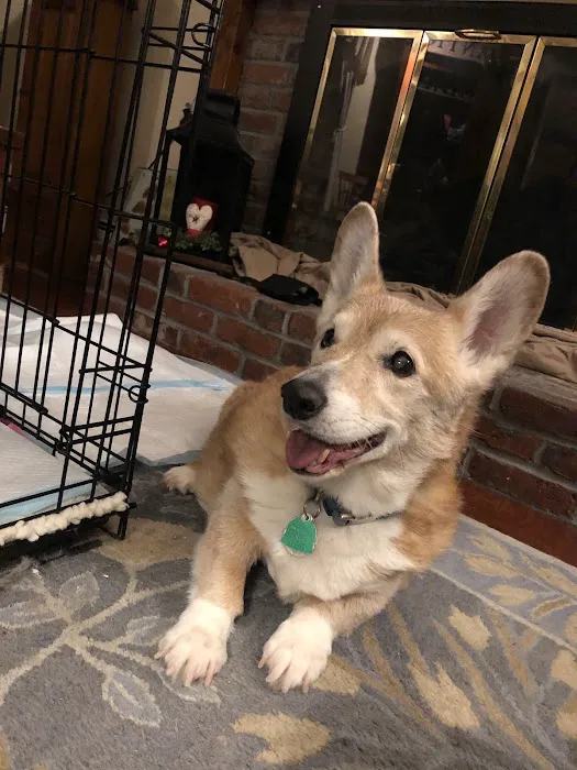 Hillsborough County Veterinary Hospital Picture 4