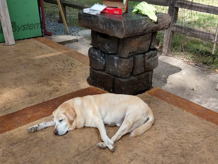 Hillsborough County Veterinary Hospital Picture 5