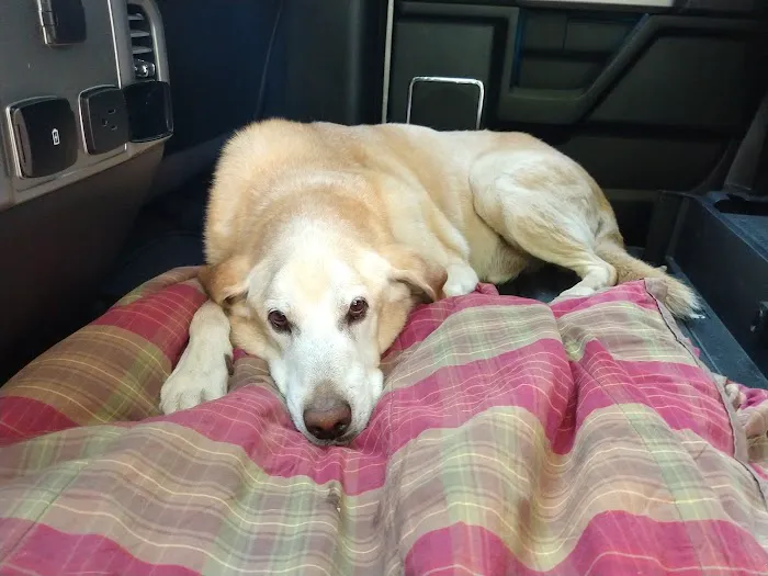 Hillsborough County Veterinary Hospital Picture 6