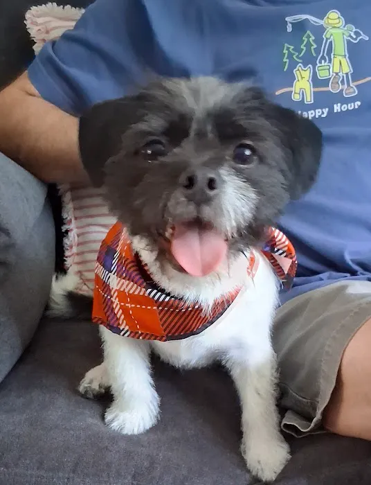 Naticook Veterinary Hospital Picture 10