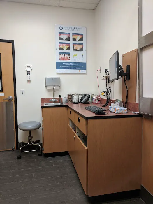 Banfield Pet Hospital Picture 8