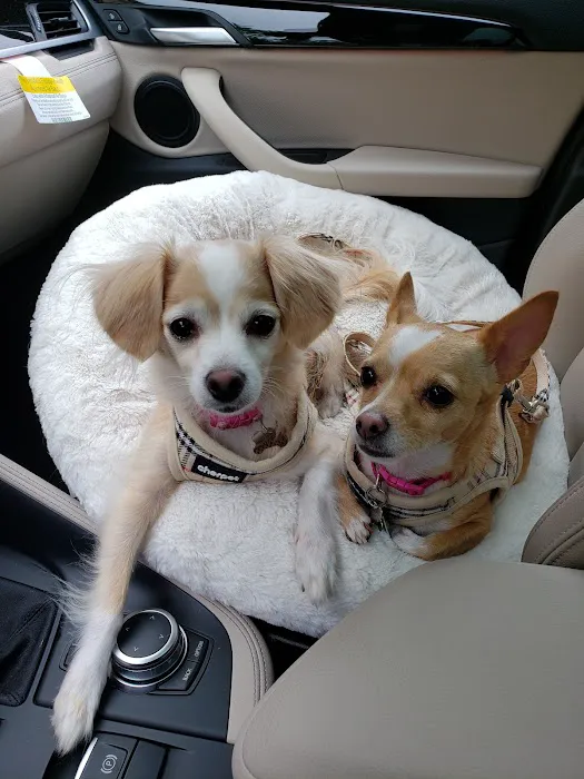 Banfield Pet Hospital Picture 10