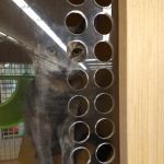 Petco