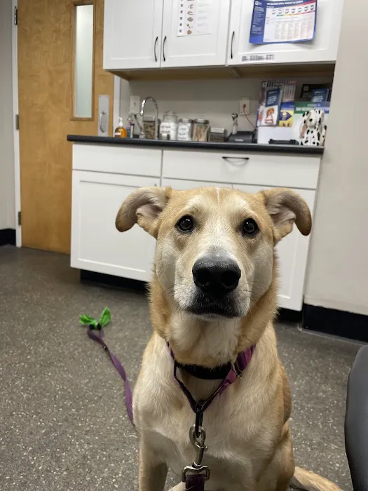 Merrimack Veterinary Hospital Picture 1