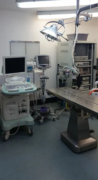 Merrimack Veterinary Hospital Picture 4