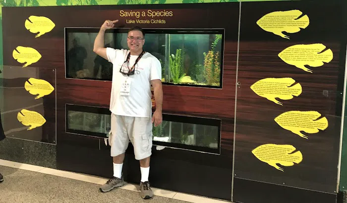 CaliforniaCichlids.com Picture 3