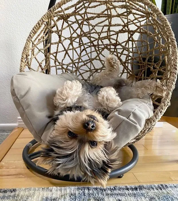 Pinkyhearts Picture 3