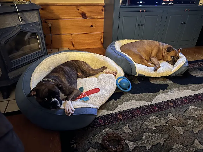 Henniker Veterinary Hospital Picture 3