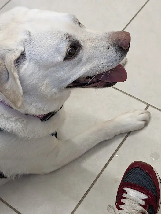 Henniker Veterinary Hospital Picture 1