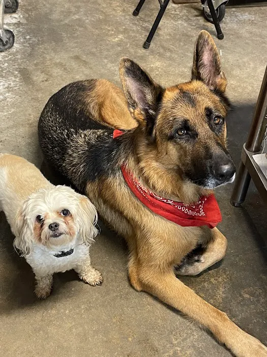 Henniker Veterinary Hospital Picture 7