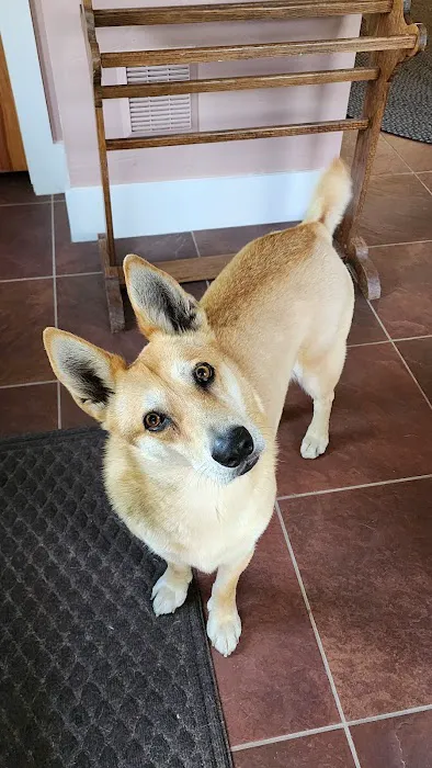 Henniker Veterinary Hospital Picture 8