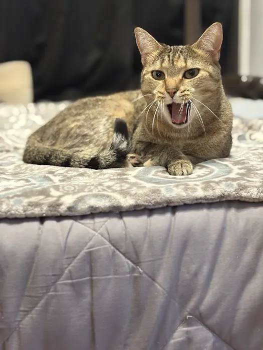 Henniker Veterinary Hospital Picture 9