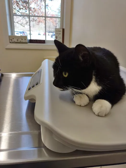 Henniker Veterinary Hospital Picture 10